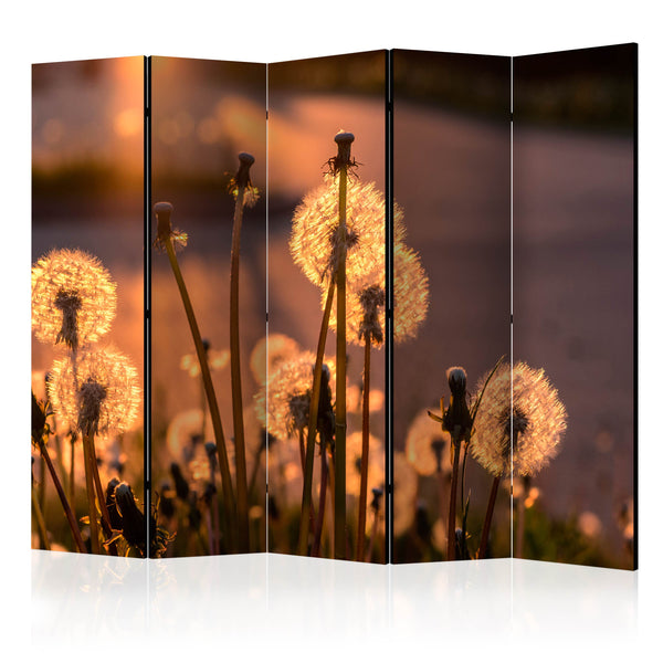 https://www.fotoartgeist.pl/ebaytemp/parawan/b-B-0138-z-c/b-B-0138-z-c-eb1.jpg
