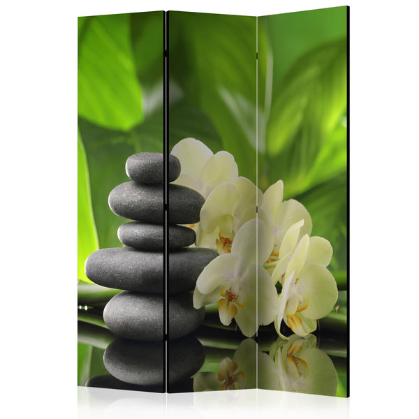 https://www.fotoartgeist.pl/ebaytemp/parawan/b-B-0148-z-b/b-B-0148-z-b-eb1.jpg