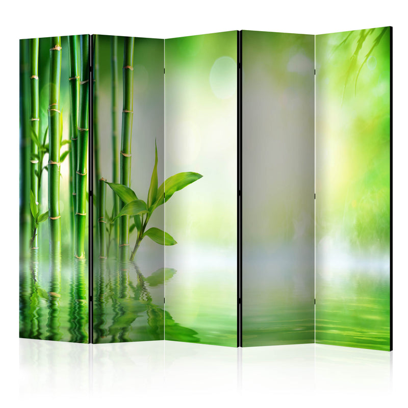 https://www.fotoartgeist.pl/ebaytemp/parawan/b-B-0149-z-c/b-B-0149-z-c-eb1.jpg
