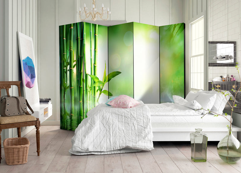 https://www.fotoartgeist.pl/ebaytemp/parawan/b-B-0149-z-c/b-B-0149-z-c-ebVis2.jpg
