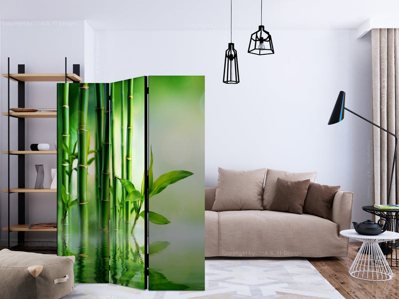 https://www.fotoartgeist.pl/ebaytemp/parawan/b-B-0164-z-b/b-B-0164-z-b-ebVis2.jpg