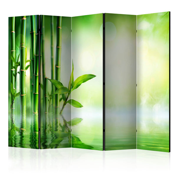 https://www.fotoartgeist.pl/ebaytemp/parawan/b-B-0164-z-c/b-B-0164-z-c-eb1.jpg