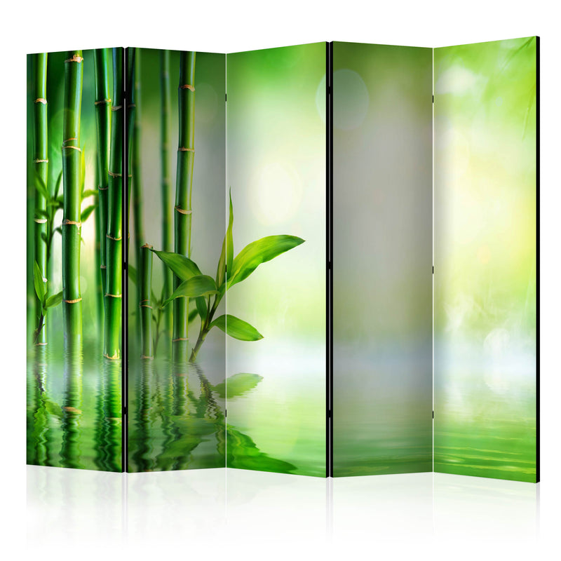 https://www.fotoartgeist.pl/ebaytemp/parawan/b-B-0164-z-c/b-B-0164-z-c-eb1.jpg