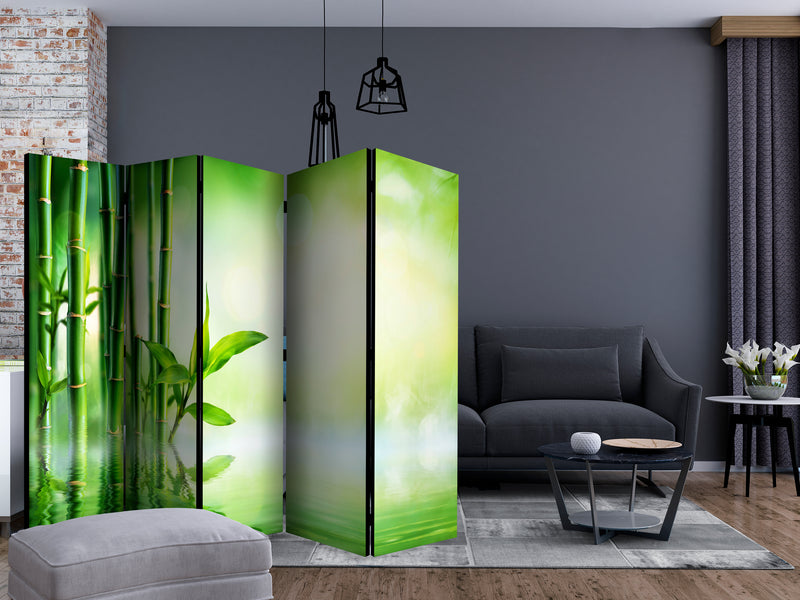 https://www.fotoartgeist.pl/ebaytemp/parawan/b-B-0164-z-c/b-B-0164-z-c-ebVis2.jpg