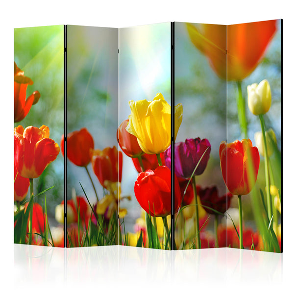 https://www.fotoartgeist.pl/ebaytemp/parawan/b-B-0174-z-c/b-B-0174-z-c-eb1.jpg