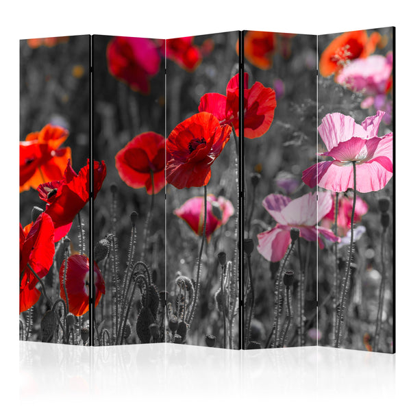 https://www.fotoartgeist.pl/ebaytemp/parawan/b-B-0175-z-c/b-B-0175-z-c-eb1.jpg