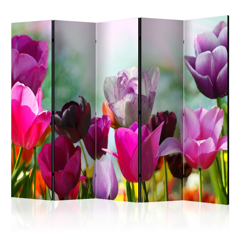 https://www.fotoartgeist.pl/ebaytemp/parawan/b-B-0179-z-c/b-B-0179-z-c-eb1.jpg