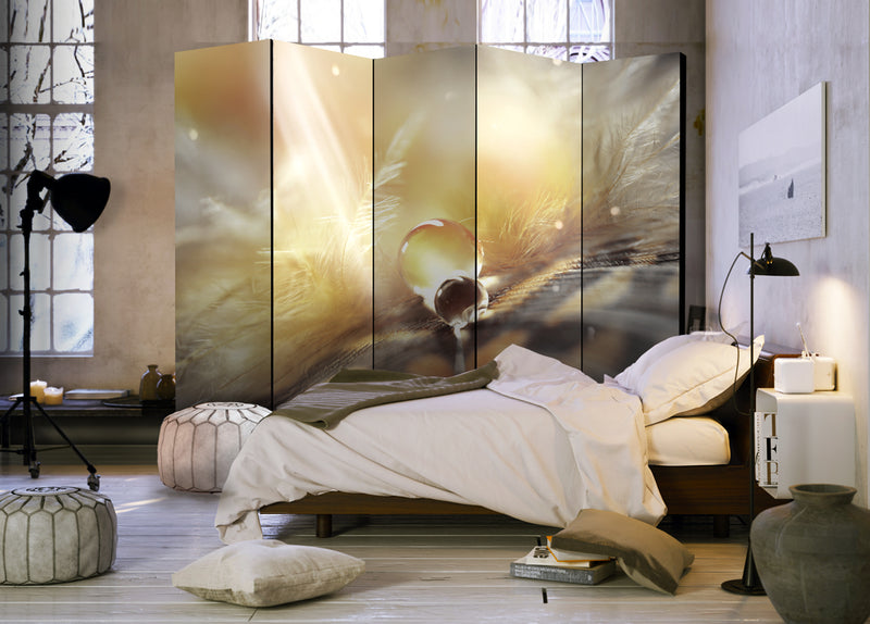 https://www.fotoartgeist.pl/ebaytemp/parawan/b-B-0200-z-c/b-B-0200-z-c-ebVis2.jpg