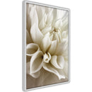 Poster - Peace of Soul  - wit