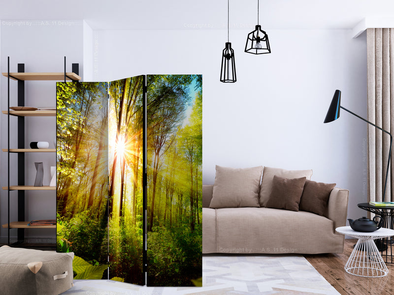 https://www.fotoartgeist.pl/ebaytemp/parawan/b-B-0248-z-b/b-B-0248-z-b-ebVis2.jpg