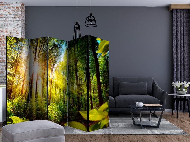 https://www.fotoartgeist.pl/ebaytemp/parawan/b-B-0248-z-c/b-B-0248-z-c-ebVis2.jpg