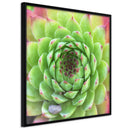 Poster - Stone Rose (Square)  - zwart