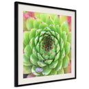 Poster - Stone Rose (Square)  - zwart passepartout