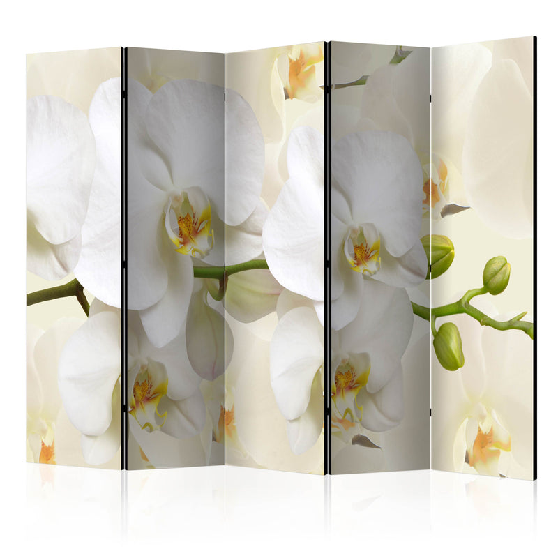 https://www.fotoartgeist.pl/ebaytemp/parawan/b-B-0337-z-c/b-B-0337-z-c-eb1.jpg