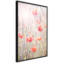 Poster - Poppies  - zwart