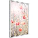 Poster - Poppies  - wit