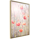 Poster - Poppies  - goud