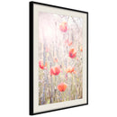 Poster - Poppies  - zwart passepartout