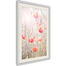 Poster - Poppies  - wit passepartout