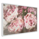 Poster - Pastel Peonies  - wit