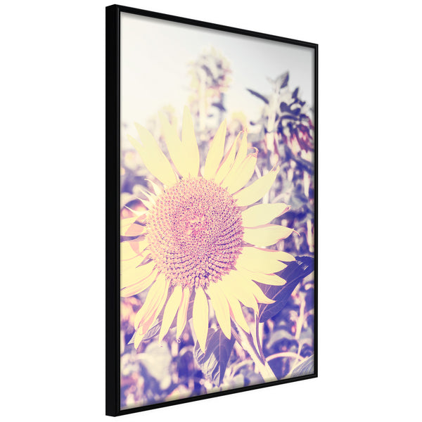 Poster - Facing the Sun  - zwart