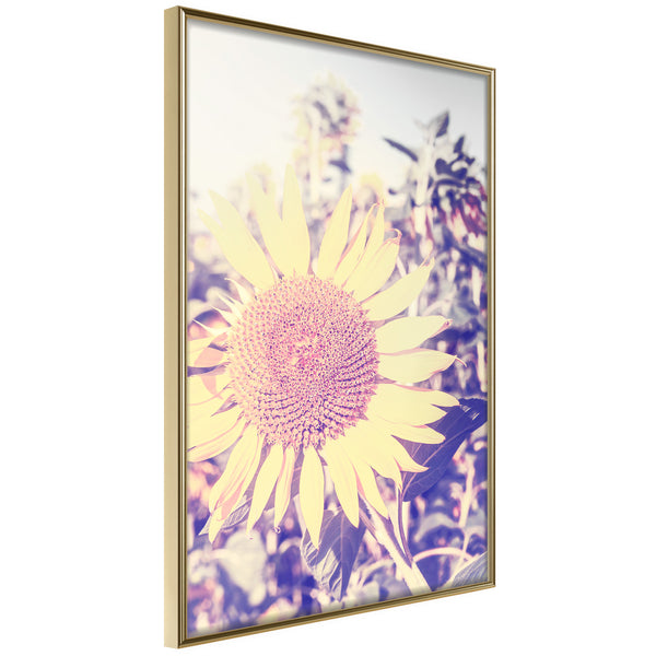 Poster - Facing the Sun  - goud