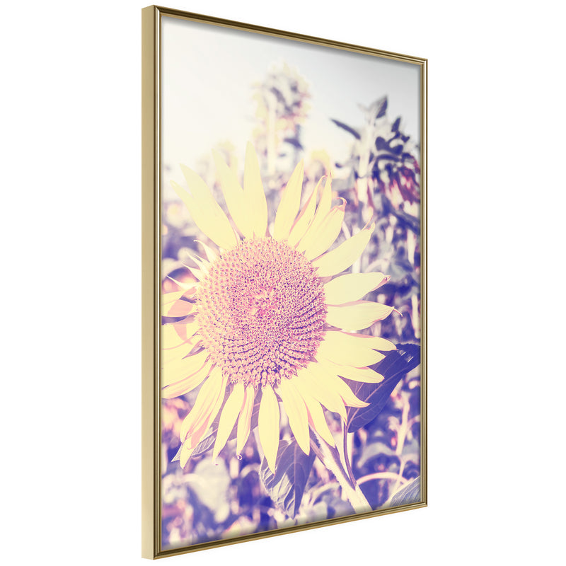 Poster - Facing the Sun  - goud