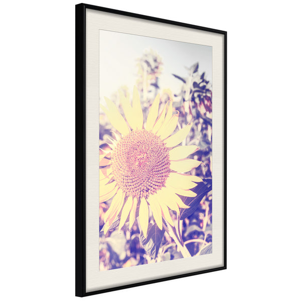 Poster - Facing the Sun  - zwart passepartout
