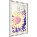 Poster - Facing the Sun  - wit passepartout