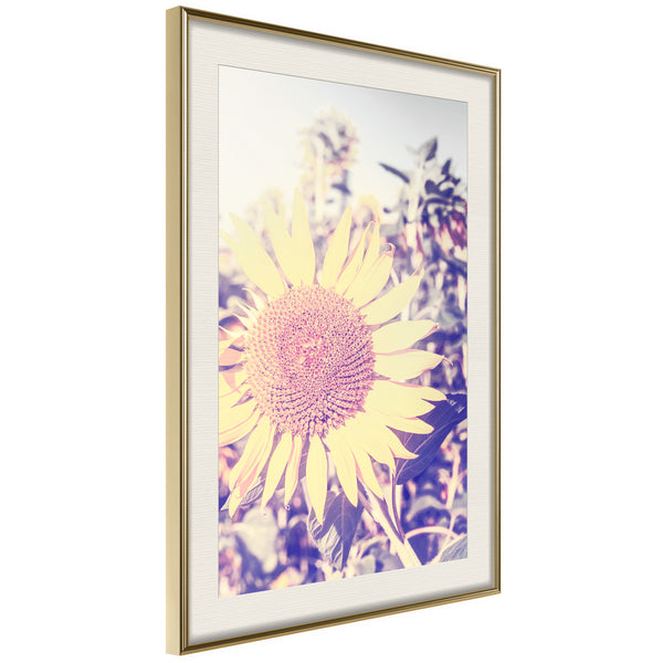 Poster - Facing the Sun  - goud passepartout