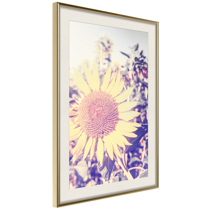 Poster - Facing the Sun  - goud passepartout