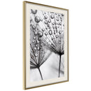 Poster - Dew in the Macro Scale  - goud passepartout