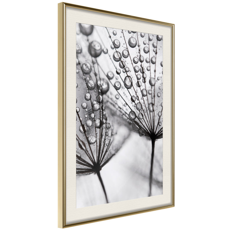 Poster - Dew in the Macro Scale  - goud passepartout