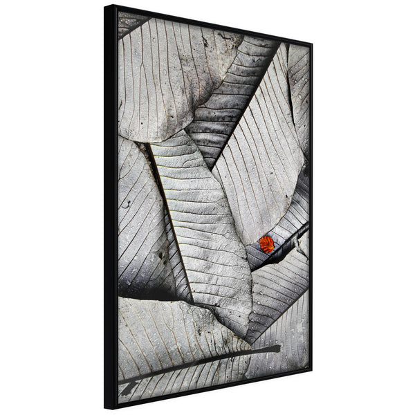 Poster - Touch of Colour  - zwart