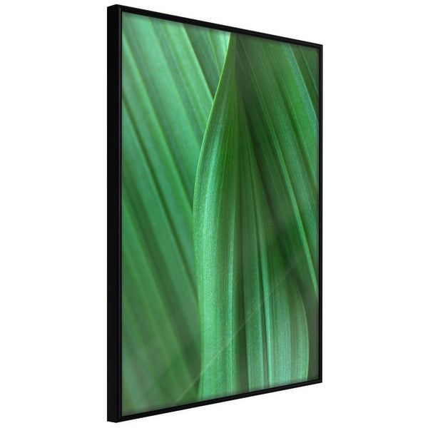 Poster - Leaf Structure  - zwart