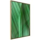 Poster - Leaf Structure  - goud