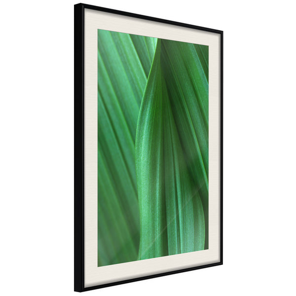 Poster - Leaf Structure  - zwart passepartout