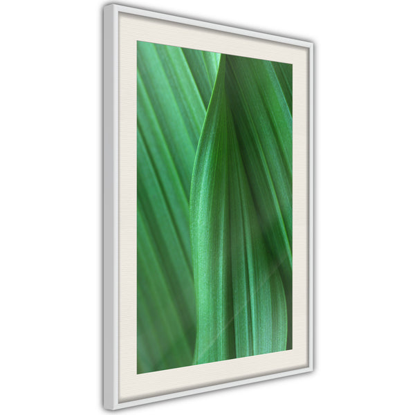 Poster - Leaf Structure  - wit passepartout