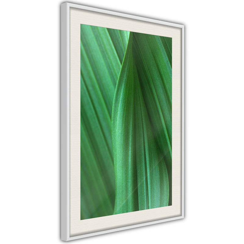 Poster - Leaf Structure  - wit passepartout