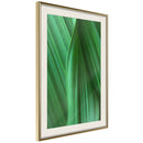 Poster - Leaf Structure  - goud passepartout