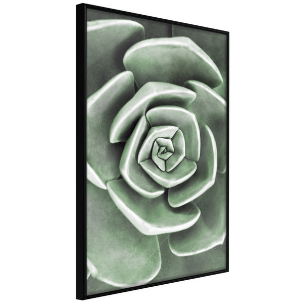 Poster - Robust Plant  - zwart