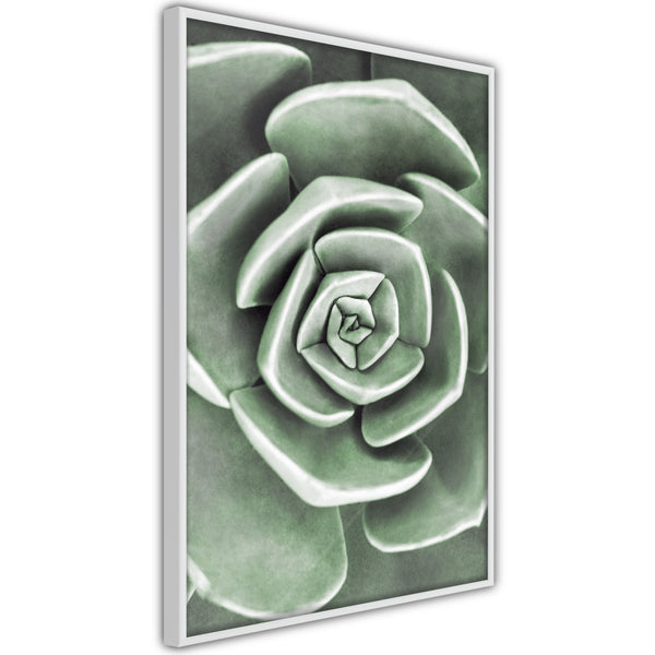Poster - Robust Plant  - wit