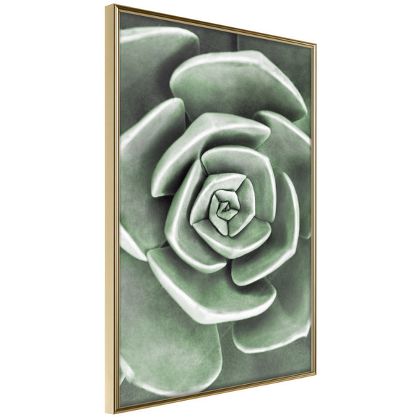 Poster - Robust Plant  - goud