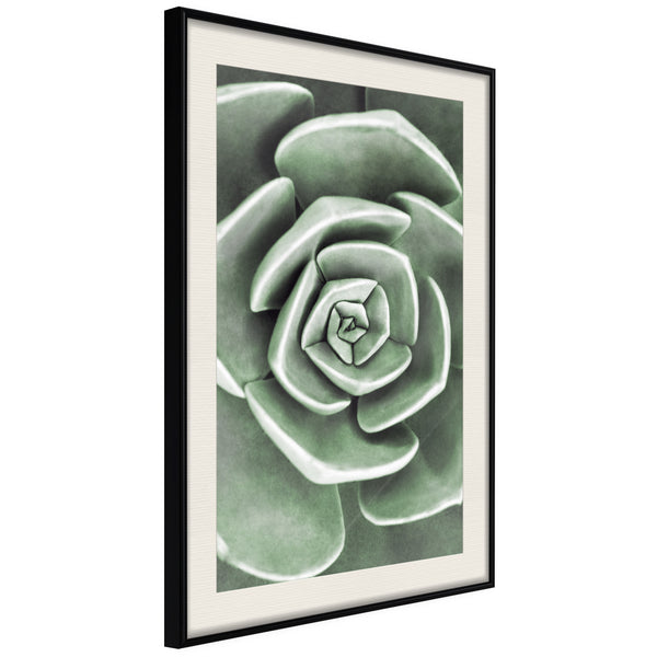 Poster - Robust Plant  - zwart passepartout