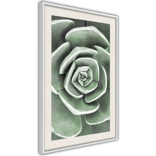 Poster - Robust Plant  - wit passepartout