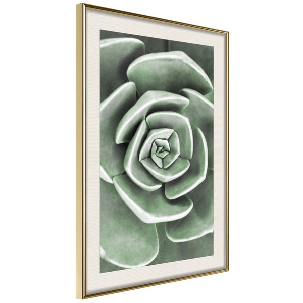 Poster - Robust Plant  - goud passepartout