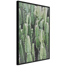 Poster - Cactus Plantation  - zwart