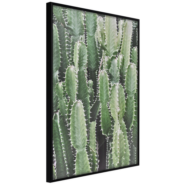 Poster - Cactus Plantation  - zwart