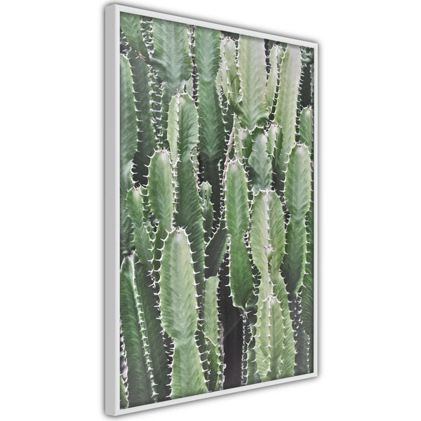 Poster - Cactus Plantation  - wit