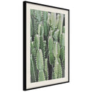 Poster - Cactus Plantation  - zwart passepartout